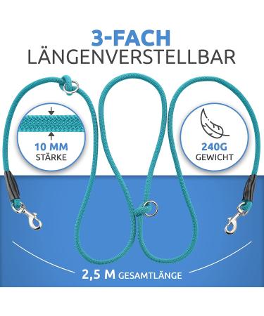 Shop Happyshephie 2.5m Adjustable Dog Leash for Medium & Large Dogs - Robust Reversible Design in Ocean Teal - Buy Online on GoSupps.com