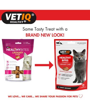 VetIQ Healthy Bites Urinary Care Cat Treats 8x 65g - Cranberry Supplement for Urinary Health - Cheese & Catnip Flavored Kitten Treats - Prebiotic Fibre for Cat Health - Buy Online on GoSupps.com
