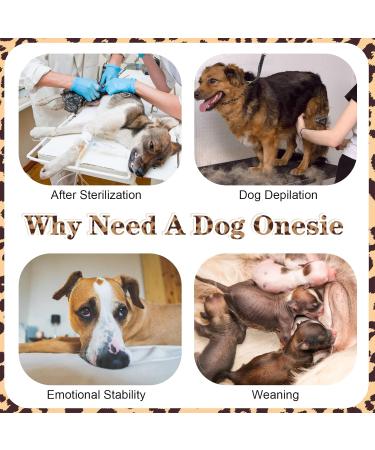 Kuoser Dog Recovery Suit - Breathable Post-Op Body for Dogs & Cats | Anti-Lick Op Body in XXL Brown - Buy Online on GoSupps.com