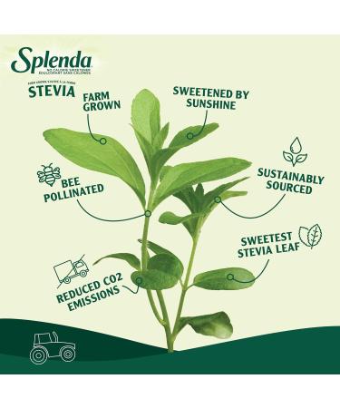 Splenda Liquid Stevia Zero Calorie Sweetener 50-mL - Buy Online on GoSupps.com