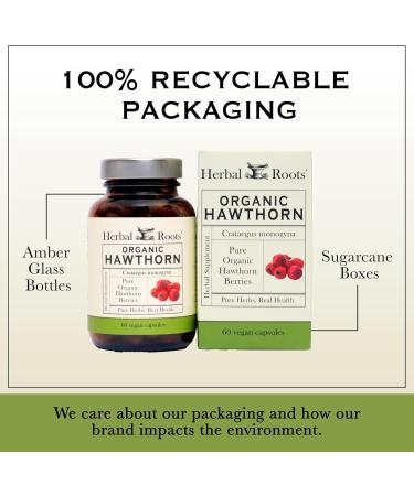 Men's Health Supplement Bundle Natural Saw Palmetto Mushroom Blend Hawthorn Heart and Prostate Support - Buy Online on GoSupps.com