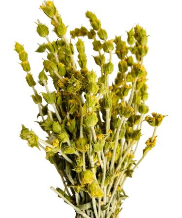 AgoraMarket Premium Greek Mountain Tea Whole Bunch 220g 195Kg Sideritis Scardica 460 grams - Buy Online on GoSupps.com