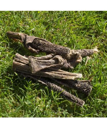 Pure & Natural Lamb Tripe Sticks for Dogs - Hypoallergenic Dog Chews Long Lasting & Natural for Dogs of All Ages from Puppy to Senior Dog Treats - 1kg Bulk Box Lamb Tripe 1 kg (Pack of 1) - Buy Online on GoSupps.com
