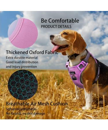 Funfox No Pull Dog Harness for Small Dogs | Adjustable & Breathable Safety Harness | Pink | Perfect for Medium & Small Breeds - Buy Online on GoSupps.com