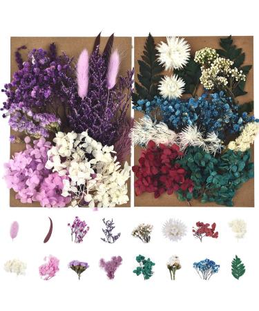 Dried Pressed Flowers for Soap Candle Making and Resin Jewelry Making Pressed Flower (Purple Blue Set) A-blue Purple - Buy Online on GoSupps.com