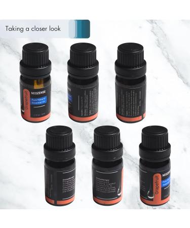 Shop 100% Pure Aromatherapy Citrus & Spice Essential Oil Set - 12 Pack with Gray Hard Shell Case | Frankincense Cinnamon Lemon & More - Buy Online on GoSupps.com