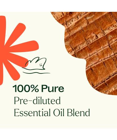 Plant Therapy Chakra 1 Grounded Foundation Essential Oil Blend - 10 mL Pre-Diluted Roll-On | 100% Pure & Therapeutic Grade for Root Chakra - Buy Online on GoSupps.com