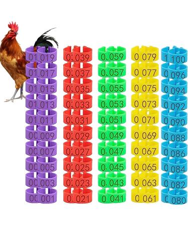 Toseky Poultry Duck Leg Tags Chicken Leg Rings - Numbered Leg Band Chicken Identification Leg Bands for Chicken Ducks  - Buy Online on GoSupps.com