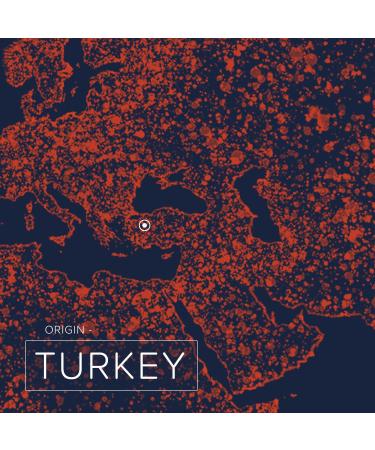 Naissance Apricot Kernel Oil 225ml - Premium Apricot Oil for Face Body Massage Skin Hair & Nail Care - 100% Natural - Buy Online on GoSupps.com