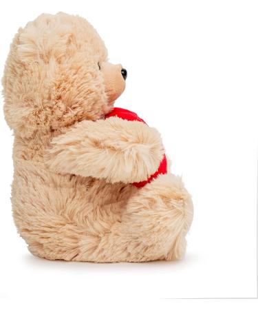 Feel Better Teddy Bear with Red Heart | Get Well Soon Gifts for Men, Women & Kids | Stuffed Animal Bear with Get Well Soon Card - Buy Online on GoSupps.com