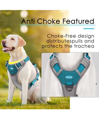 Thinkpet Anti Zug Dog Harness - Adjustable No-Choke Design with Handle Reflective & Breathable | Small Bright Blue-Green - Best for Easy Dog Control - Buy Online on GoSupps.com
