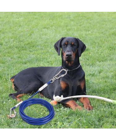 Durable Tie-Out Leashes for Dogs | 3/6/9/15m Outdoor Yard Dog Leash in Blue - Buy Online on GoSupps.com