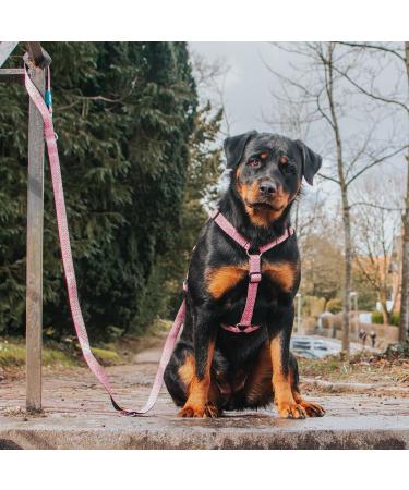Max & Molly H-Harness - Retro Pink XS | Shop Stylish & Comfortable Pet Harness for International Shipping - Buy Online on GoSupps.com