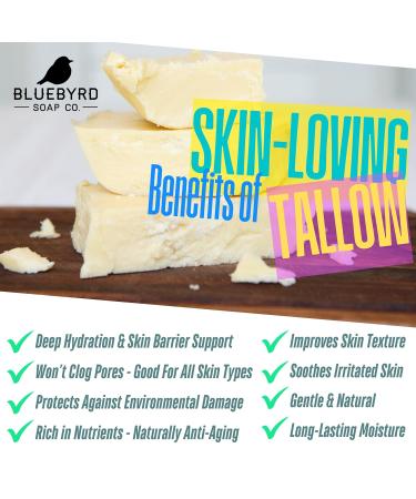 Bluebyrd Vanilla Bean Tallow Lotion All Natural Vanilla Lotion 100% Grass-Fed & Hand-Whipped Deeply Moisturizes & Soothes Dry Sensitive Skin Face + Body (2oz Vanilla) Vanilla 9 Fl Oz (Pack of 1) - Buy Online on GoSupps.com