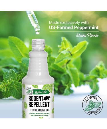 Mighty Mint 16oz Peppermint Oil Rodent Repellent Spray - Natural Pest Control Solution - Buy Online on GoSupps.com