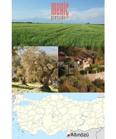 CORNEDOR Bulgur Wheat 500 grams Cracked Wheat Harvested in season cooked sun dried Suitable for vegans & vegetarians - Buy Online on GoSupps.com