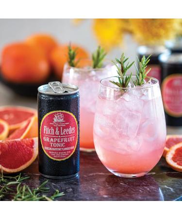 Fitch & Leedes Pink Grapefruit Tonic Water 4 x 200 ml in South Africa / Great Gin Companion Spicy Injectable Elegant (Sin - Buy Online on GoSupps.com