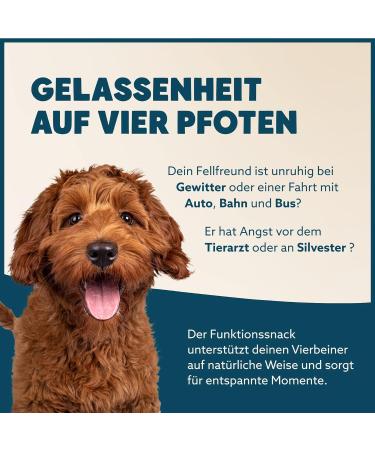 Canobel Relax for Dogs | Natural High-Dose Sedative for Stress & Fear | 720 Delicious Snacks (2x300g) with Baldrian St. John's Wort & L-Tryptophan | International Shipping Available - Buy Online on GoSupps.com