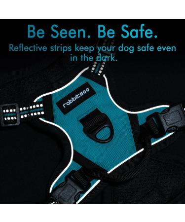 Rabbitgoo No Pull Dog Harness for Small Dogs - Adjustable Breathable Safe Blue-Green XS (1 Pack) - Perfect for Training & Cuddling - Buy Online on GoSupps.com