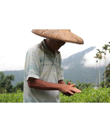 Arroyo Kitchen Osmanthus Oolong Tea - Premium Taiwanese Eco-Friendly Teabags | Natural Vegan Hot & Iced Tea - Buy Online on GoSupps.com