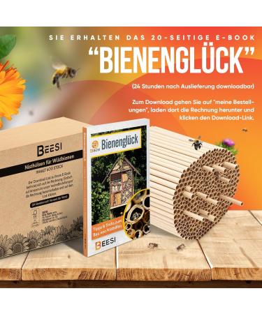 BEESI 300 x Cardboard Tubes For Insect Hotel 15 cm Long Diameter 6 and 8 mm Mixed Includes E-Book (English Language Not Guaranteed) Nesting Tubes and Nesting Sleeves For Wild Bees - Buy Online on GoSupps.com