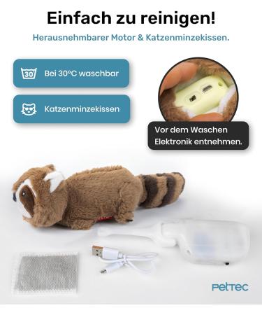 Pettec Interactive Cat Toys Electric Movable Raccoon with Catnip | Automatic Self-Play for Cats | Best Interactive Cat Toy - Buy Online on GoSupps.com