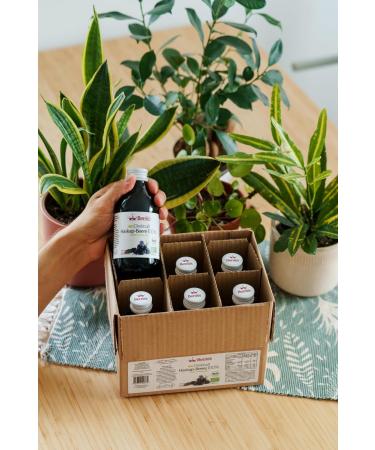 Organic Haskap Juice 6-Pack (6x250ml) - 100% Cold-Pressed Vegan Non-GMO - Berriespolska Kamchatka Berry - Buy Online on GoSupps.com