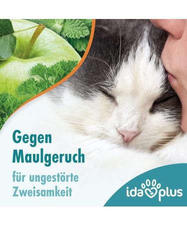 Ida Plus Dental Care Mini Sticks for Cats - Anti-Plaque Treats Freshens Breath Cleans Teeth - 80 Delicious Pieces - Buy Online on GoSupps.com