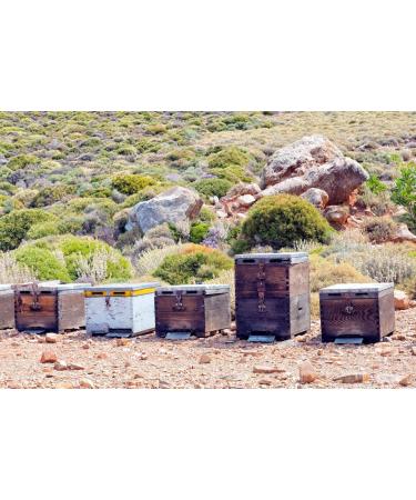 Miel de thym du Maroc 175g - un miel Rare et unique - 100% Naturel R colt dans la R gion de Souss Massa Draa - Buy Online on GoSupps.com