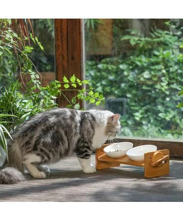 FUKUMARU Elevated Cat Ceramic Bowls: Small Dog Raised Food & Water Bowl Set with Bamboo Stand - Buy Online on GoSupps.com