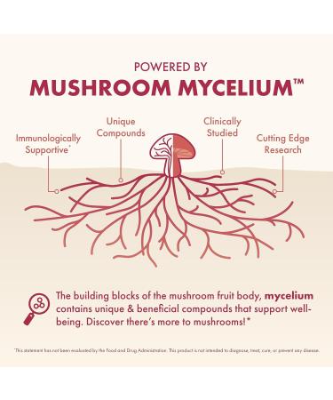 Host Defense MycoBenefits Beauty Capsules - Supplement for Healthy Hair & Nail Strength - Skin Elasticity & Health Aid - Mushroom Supplement with Biotin & Hyaluronic Acid - 60 Capsules (30 Servings) - Buy Online on GoSupps.com