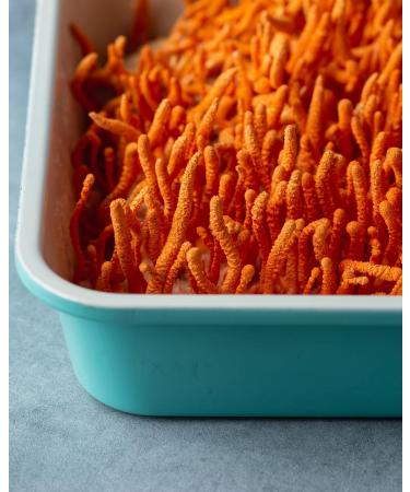 Mushroom Wellness Cordyceps Blend with Reishi: Organic Cordyceps & Reishi Mushroom Capsules, Mushroom Powder Supplement, Supports Immune System & Healthy Urinary Function, 90 Vegan Capsules - Buy Online on GoSupps.com