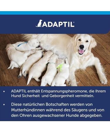 Adaptil Calm Start Set - Relaxation Solution for Dogs | Fast International Shipping - Buy Online on GoSupps.com