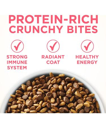 Purina ONE Healthy Kitten Formula - Nutrient-Rich Kitten Food for Growth - Buy Online on GoSupps.com