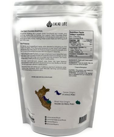 Dark Chocolate Covered Brazil Nuts | Vegan | Gluten Free Snacks | 100% Organic | NON GMO | 227gr - Buy Online on GoSupps.com