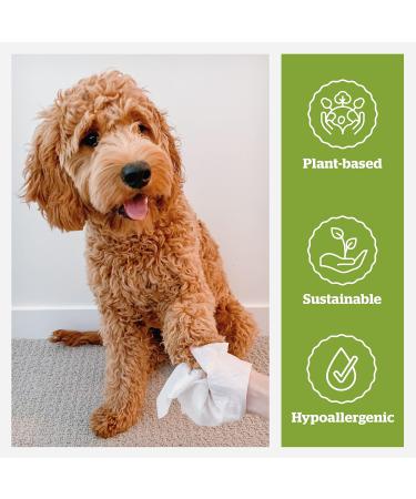 Pogis Care Cloths - 100 Biodegradable Desodorizing Wipes for Dogs - Extra Red Green Tea Fragrance - Buy Online on GoSupps.com