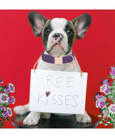 Dogwong Violet Dog Collar with Removable Fly - Adjustable & Comfortable for Small to Medium Dogs - Perfect Gift for Boys & Girls - X-Small Pack of 1 - Buy Online on GoSupps.com