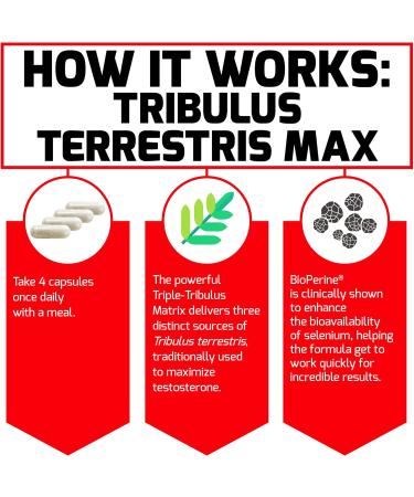 Force Factor Tribulus Terrestris Max for Men Testosterone Booster and Male Vitality Supplement for Superior Absorption 2000mg 120 Capsules Unflavored 120 Count (Pack of 1) - Buy Online on GoSupps.com