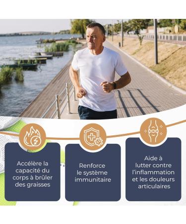 Nutrisolution I Curcu + Curcumin Plant Base I 60 Capsules High Absorption I Food Supplement I Joint Digestion Immunity Ginger Curcumonoids Turmeric I Made in France - Buy Online on GoSupps.com