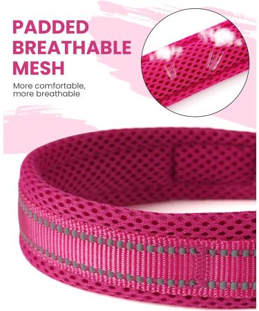 Buy PETTOM Adjustable Nylon Dog Collar - Breathable & Reflective XS Pink for Small Dogs - Buy Online on GoSupps.com