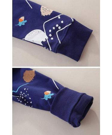 Dinosaur Boys Sweatshirt | Cotton Casual Top for Toddler Girls & Boys | Long Sleeve Pullover T-Shirt | Baby Clothes 1-8 Years | Deep Blue (2-3 Years) - Buy Online on GoSupps.com