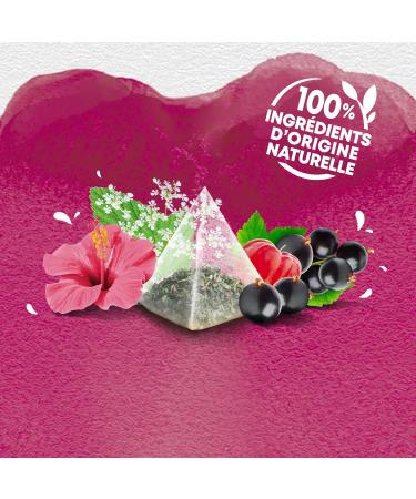 Elephant Gentle Elimination Infusion Meadowsweet Hibiscus and Blackcurrant Flavor 100% Natural Ingredients 20 Sachets - Buy Online on GoSupps.com