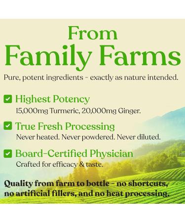 Elixir Shots, Immunity Daily Wellness Shot with Cold-Pressed Turmeric, Ginger, Orange and Black Pepper, No Added Sugars or Artificial Ingredients, USDA Organic, 12-pack Turmeric Ginger Orange 12 - Buy Online on GoSupps.com