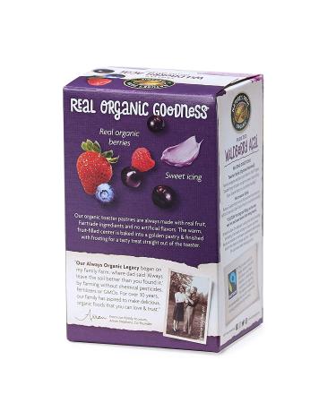 Nature's Path Organic Frosted Wildberry Acai Toaster Pastries - 11oz (Pack of 12) | Non-GMO, Real Fruit - Buy Online on GoSupps.com