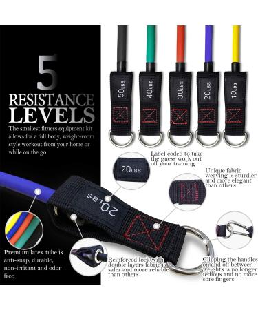 TheFitLife Exercise Resistance Bands - 5 Stackable Fitness Workout Bands up to 300lbs - Handles, Ankle Straps, Door Anchor, Carry Bag - Buy Online on GoSupps.com