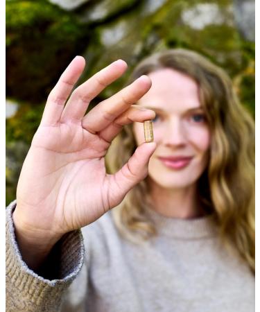 Herb Pharm Triphala Capsules: USDA Organic Cleansing & Detoxification Support & Digestive Health Support with Amla Haritaki & Bibhitaki FAIRWILD Certified | 60 Vegan Capsules Up to 30 Day Supply* 60 Count (Pack of 1) - Buy Online on GoSupps.com