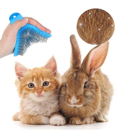4-Piece Rabbit Grooming Kit: Shampoo, Bath Brush, Comb, Massage Brush, Nail Cutters - Blue | For Rabbit, Hamster, Bunny, Guinea Pig - Buy Online on GoSupps.com