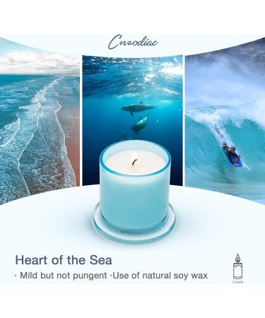 Luxury Sea Salt Scented Candles 9 oz Natural Soy Wax Aromatherapy Gifts for Women | 50 Hours Burn Time in Elegant Blue Jar - Buy Online on GoSupps.com