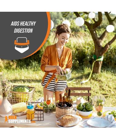 Lion's Mane Mushroom Extract Powder - Memory & Focus Brain Supplement - 500g (1.1 lbs) - Buy Online on GoSupps.com