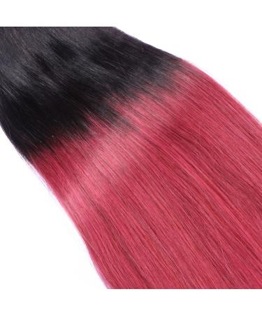 Micro Ring Hair Extensions #1B Castle Ombre 50cm - 150 Strands 100% Remy Human Hair - Easy to Use for Professionals - Buy Online on GoSupps.com